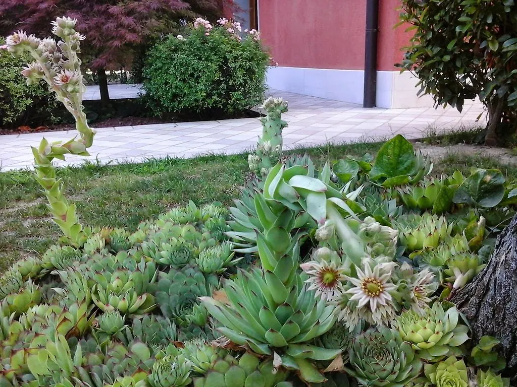 Bed and Breakfast La Casa Di Linda Mirano 3*,