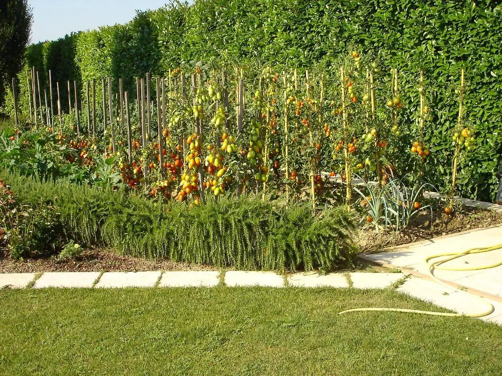 La Casa Di Linda Bed & Breakfast Mirano 3*,  Italy